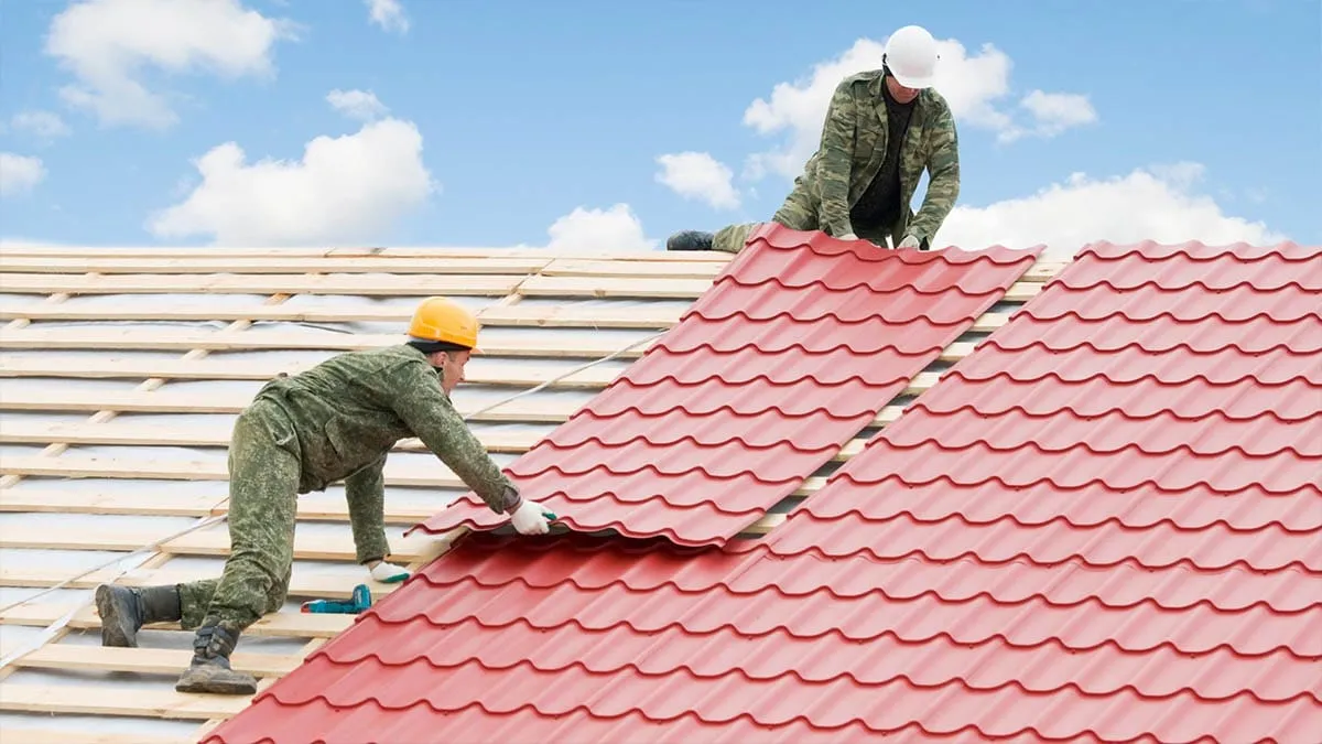 Roof Repair, Insulation and Waterproofing Solutions — working view